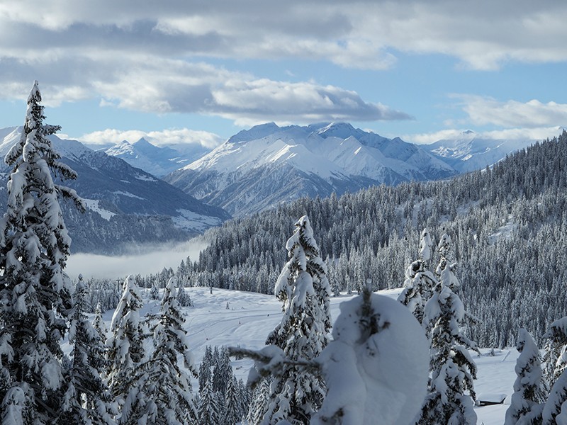 Der Winterwanderweg von Naraus nach Flims führt durch eine wunderbare alpine Winterlandschaft.
Bild: Christof Sonderegger