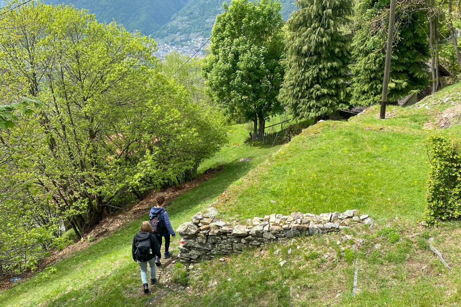 Auf dem Abstieg zwischen Monti di Ravecchia und Paudo. In sanftem Zickzack geht es in Richtung Tal. Bild: Loïc von Matt