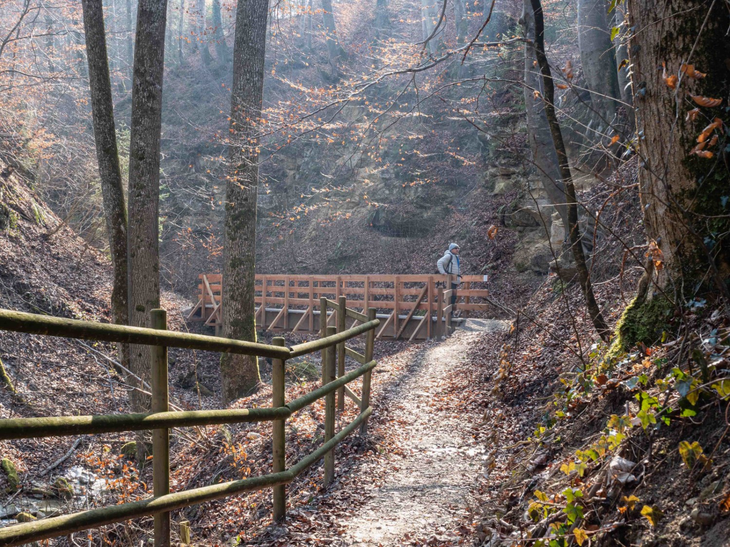 Das Birchtobel oberhalb von Schmiedrued. Bild: Barbara Graber