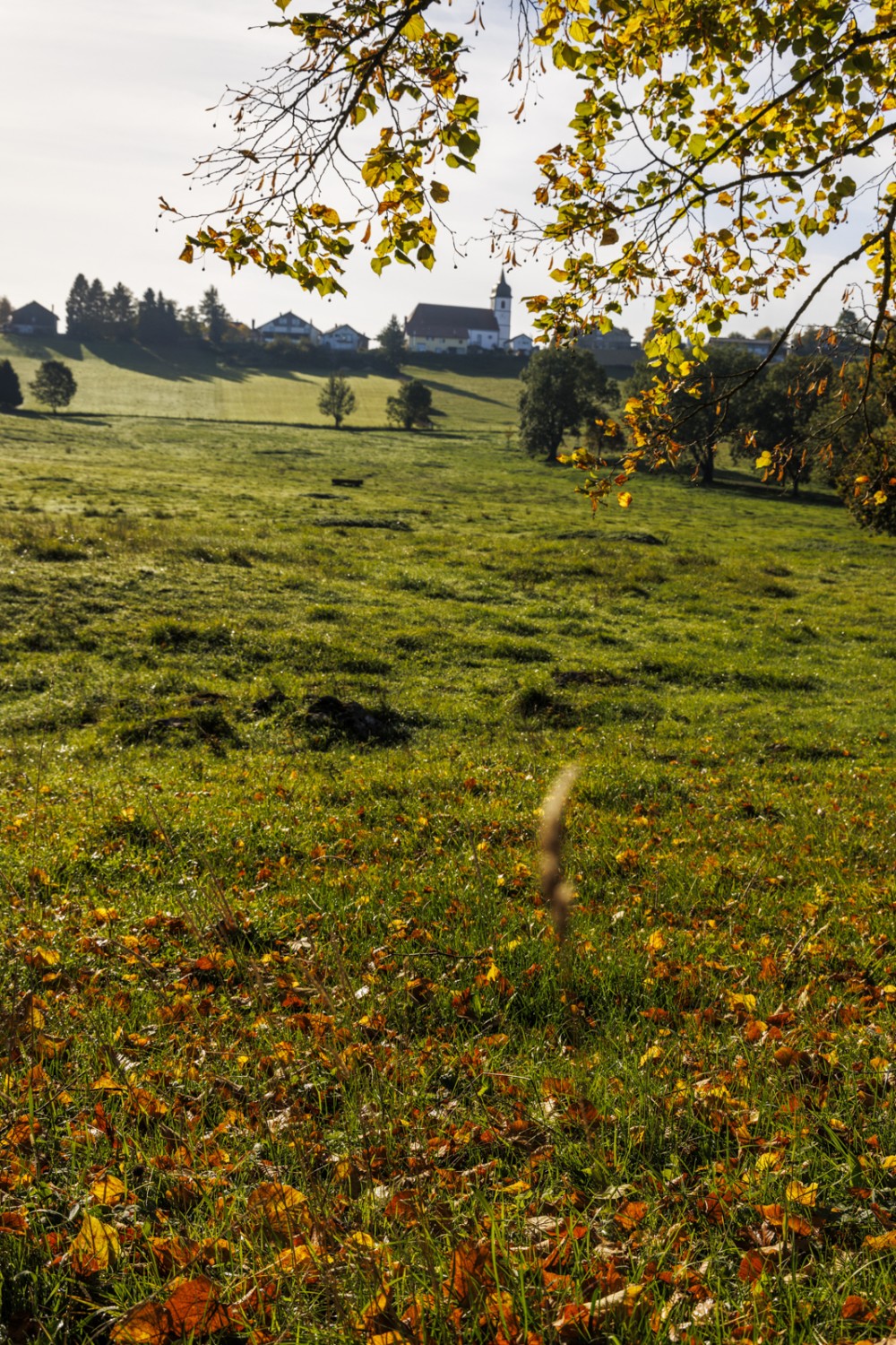 Blick zurück auf die Kirche von Montfaucon. Bild: Severin Nowacki