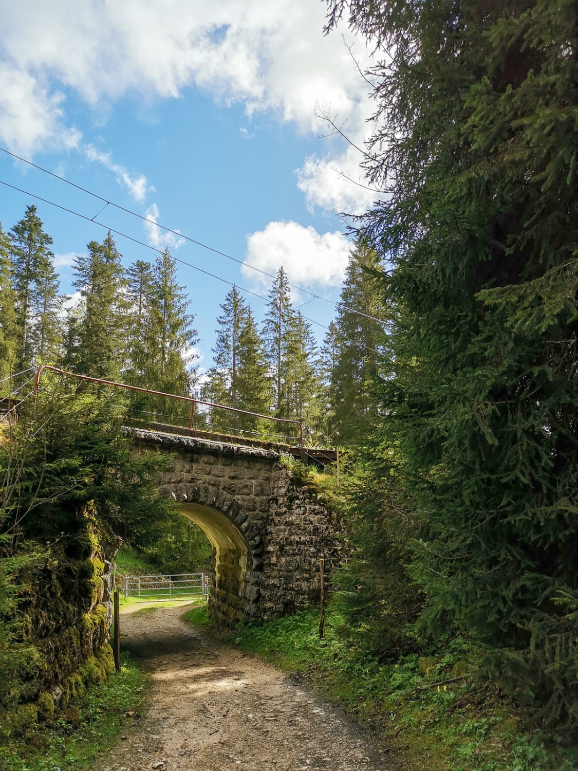 Zwei Begleiter auf der Wanderung: der Tabeillon-Bach und die rote Schmalspurbahn. Bild: Evelyne Zaugg