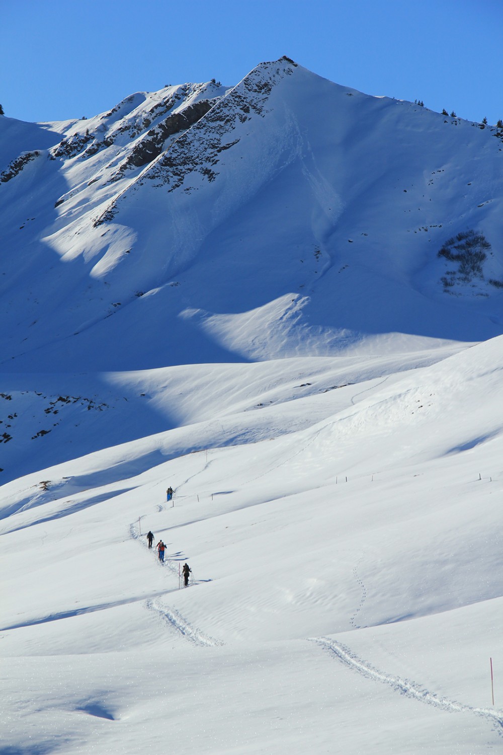 Schneeschuhwandern über die weite Alp Breitenfeld, dem Hörnli und dem Tüfengrat entgegen.