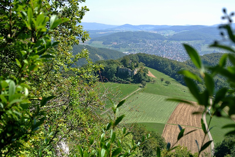 Durch Bäume und Sträucher hindurch bietet sich auf der Schauenburgflue immer wieder ein tolles Panorama. Fotos: Rémy Kappeler