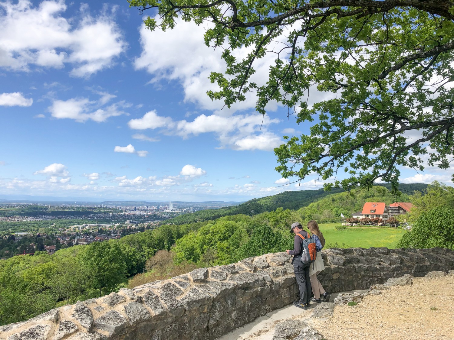 Von der Burgruine Dorneck aus hat man einen Ausblick auf Basel.