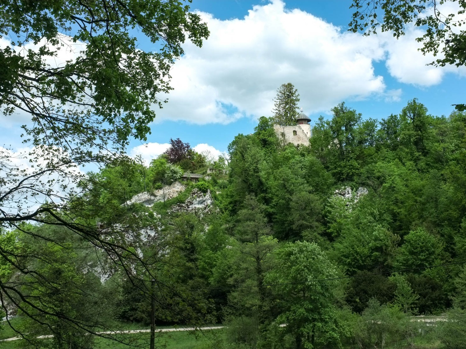 Eine weitere Burg: Das Schloss Birseck sieht man vom Wanderweg aus. Bild: Claudia Peter