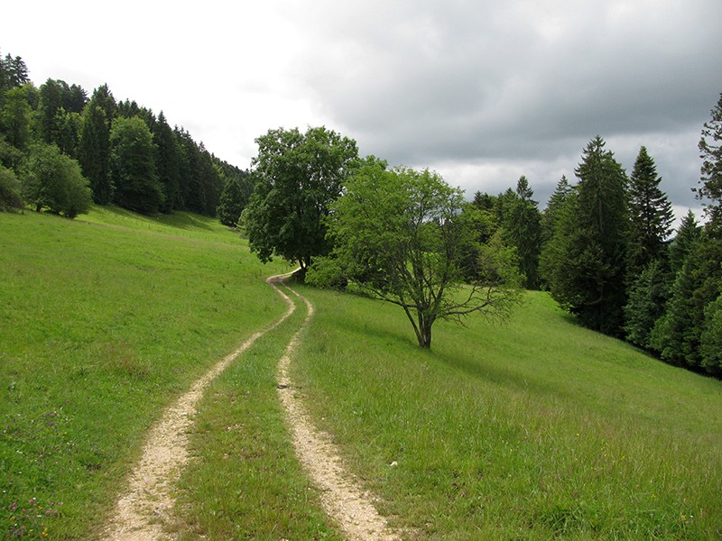 Überraschende Idylle am Stierenberg zwischen Ober Fringeli und Oberbergli. Fotos: Andreas Staeger