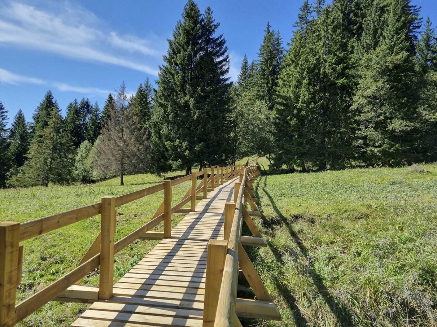 La passerelle en bois sur le chemin du retour vers le lac des Joncs facilite le passage par des prairies humides. Photo: Nathalie Stöckli