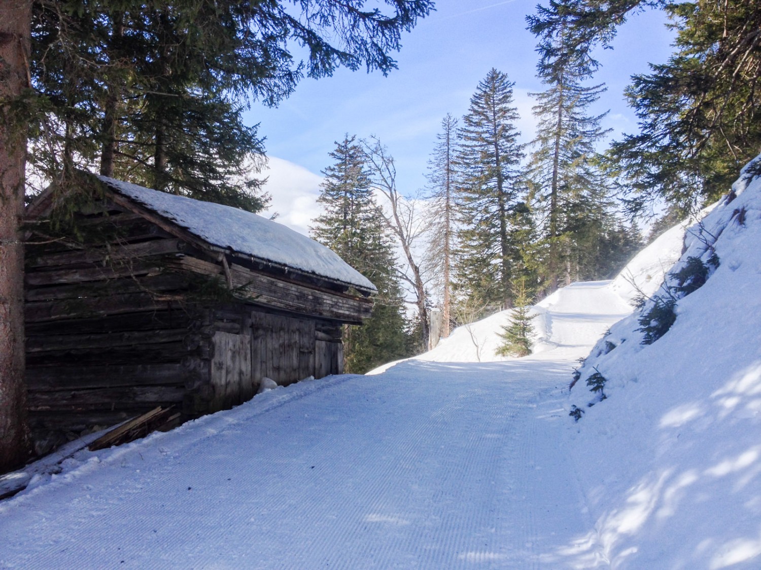 Der Winterwanderweg führt durch verschneite Tannenwälder. Bild: Claudia Peter