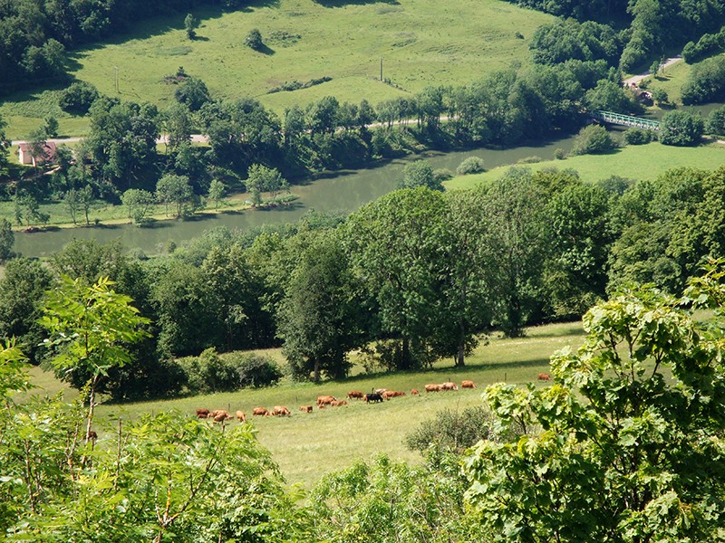 Immer wieder zeigt sich das grüne Tal des Doubs.    Bild: Sabine Joss