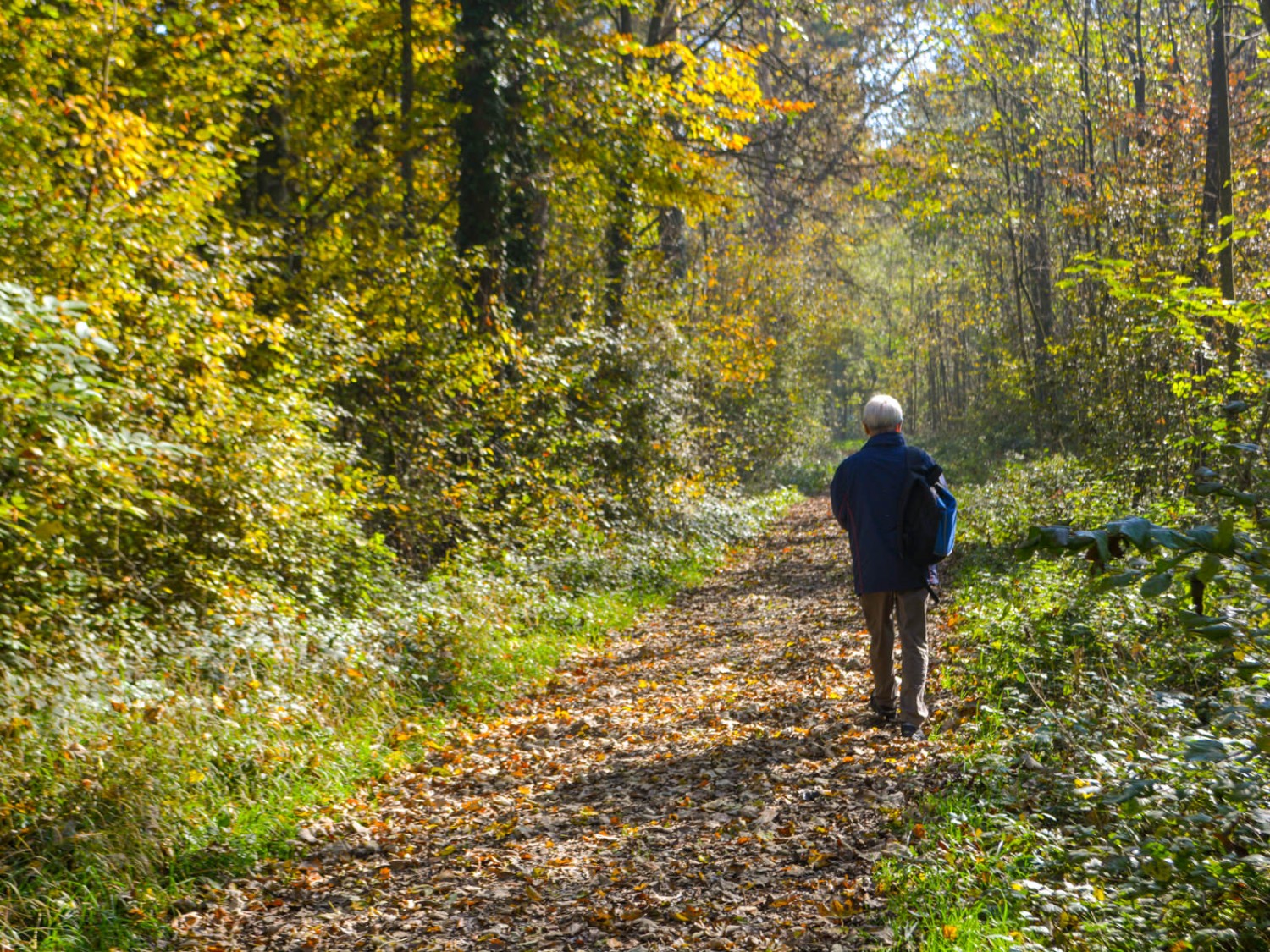 Herbstlicher Waldweg entlang der Thur. Bild: Werner Nef