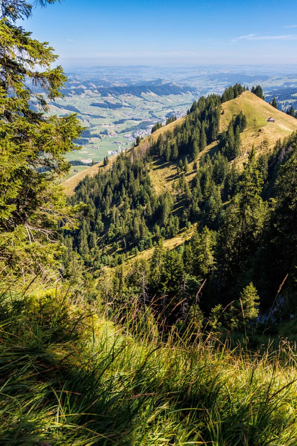 Au nord, cette arête de poudingue est très escarpée. Photo: Severin Nowacki