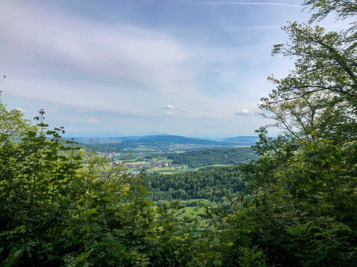 Der Ausblick vom Linnerberg. Bild: Vera In-Albon