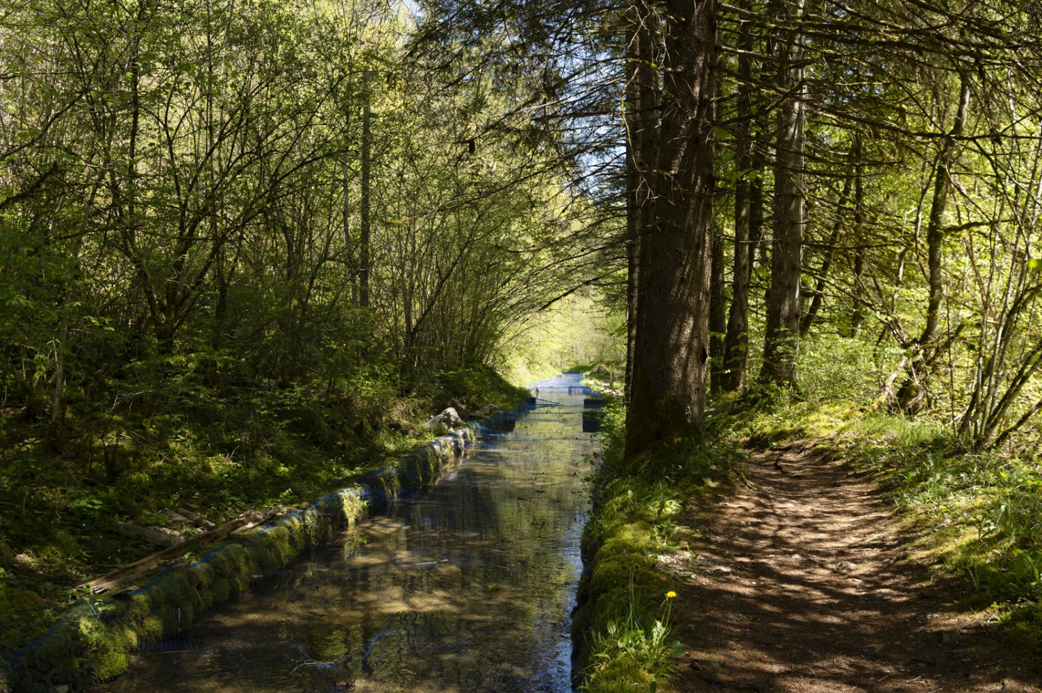 Tout près de l’eau: le chemin longe un canal de pêcheurs.Photo: Raja Läubli