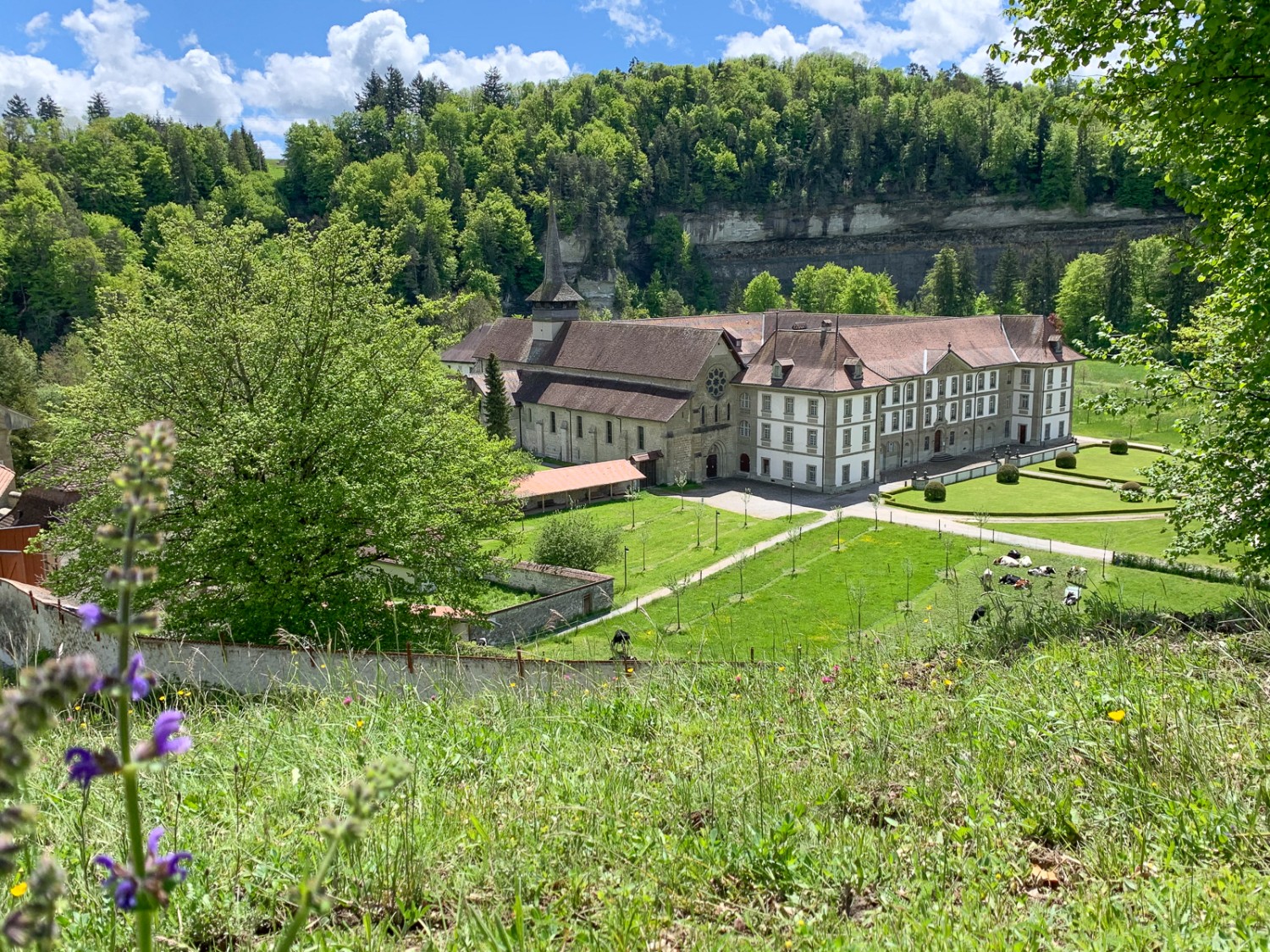 Kurz nach dem Institut Agricole Grangeneuve erhascht man einen bezaubernden Ausblick auf das Kloster Hauterive. Bild: Monika Leuenberger