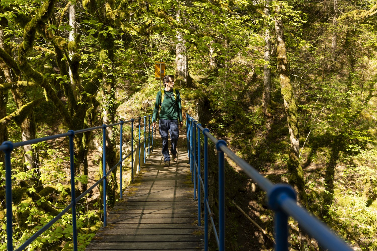 Le dernier pont sur l’Orbe. De l’autre côté, c’est le début du chemin de randonnée de montagne.Photo: Raja Läubli