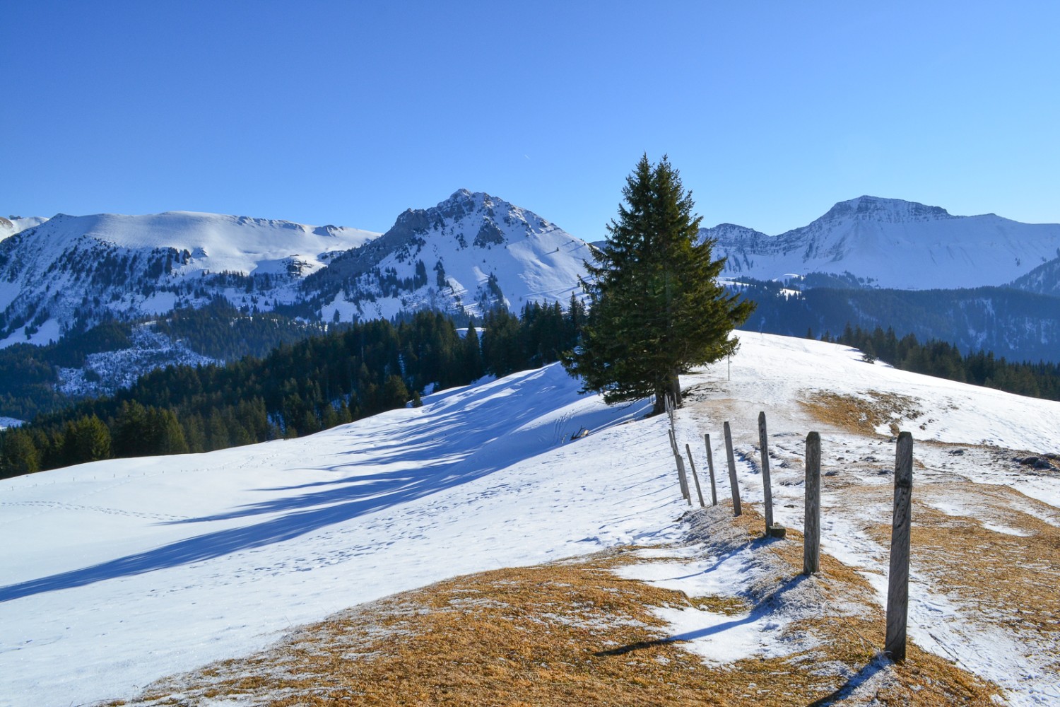 Auf dem flachen Gipfelrücken des Niremont bleibt der erste Herbstschnee liegen.