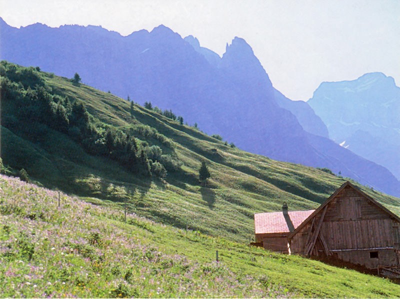 Urner Bergbauernland am Panoramaweg über dem Schächental. Bild: Franz Auf der Maur