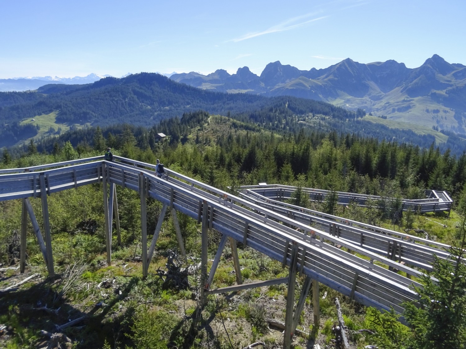 Der Gäggersteg führt durch die Windwurffläche, die der Orkan Lothar hinterlassen hat. Bild: Sabine Joss