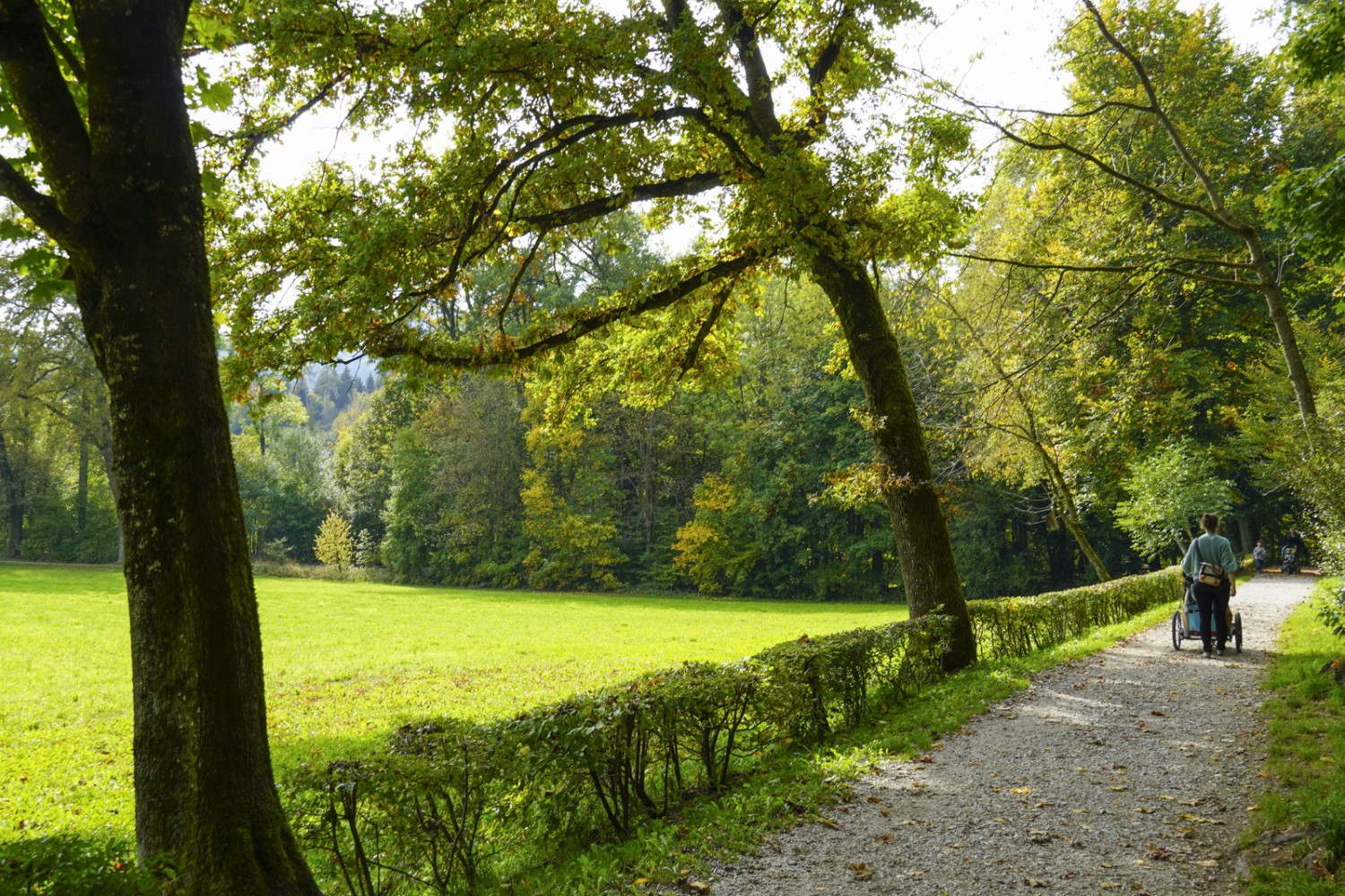 In der Parkanlage Elfenau zu Beginn der Wanderung. Bild: Mia Hofmann