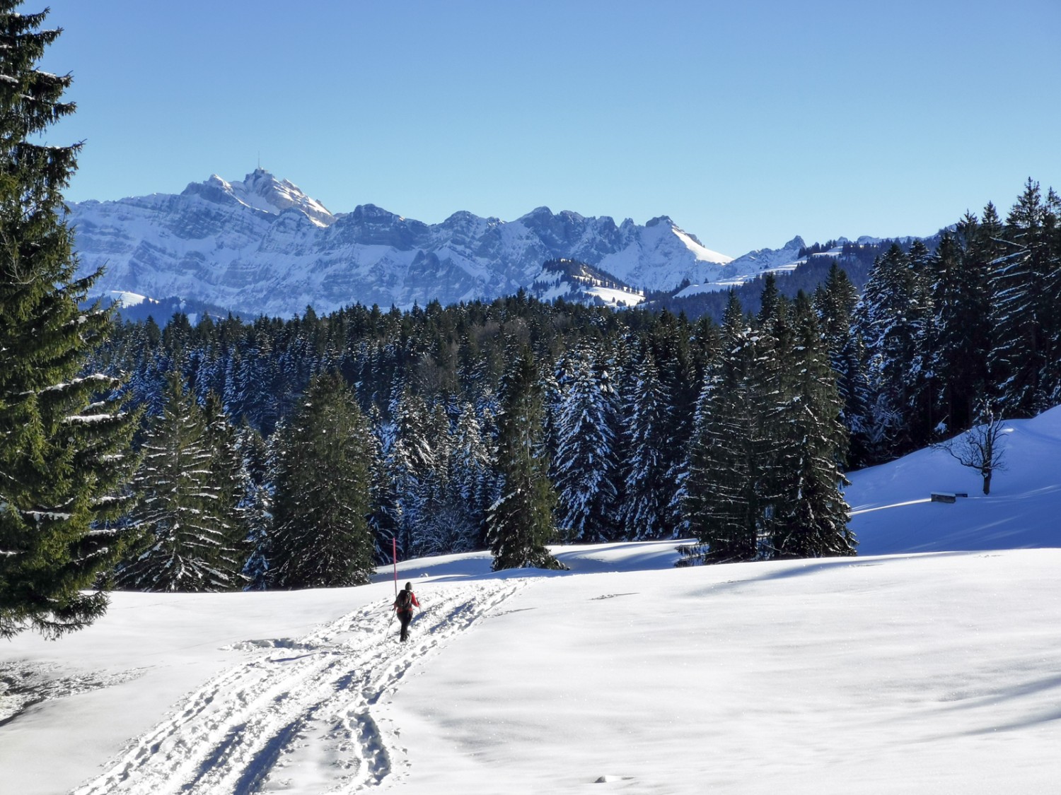 Ausblick zum Alpstein. Bild: Andreas Staeger