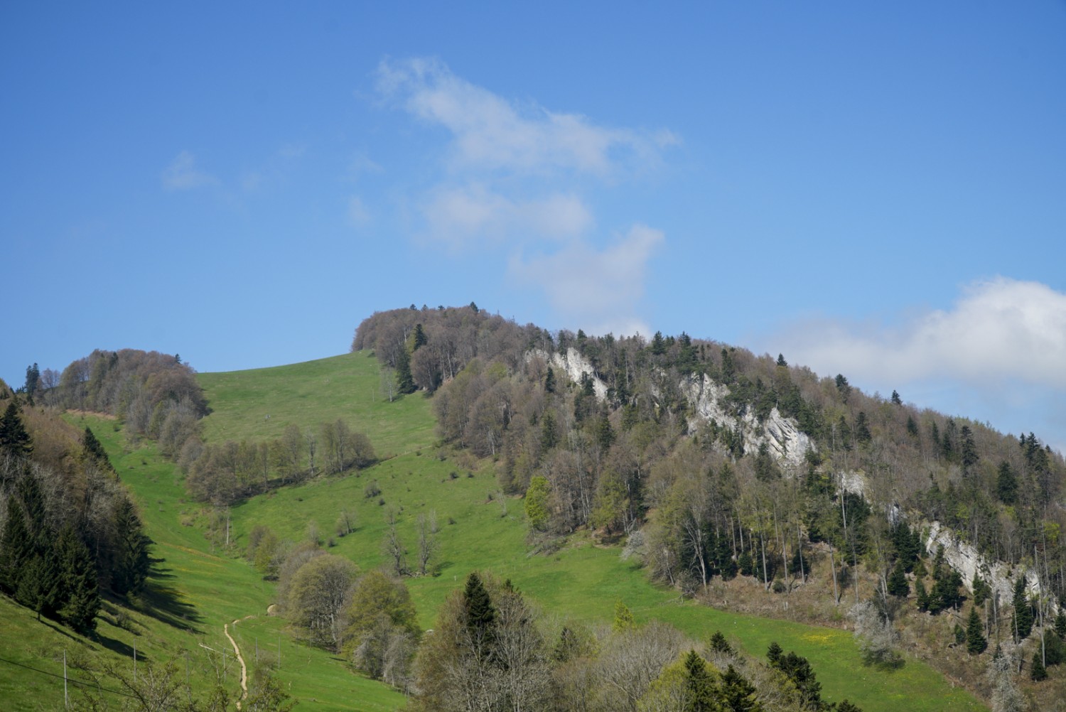La cuvette qui s’étend d’est en ouest est caractéristique de la barrière montagneuse du Wasserfallen. Photo : Mia Hofmann