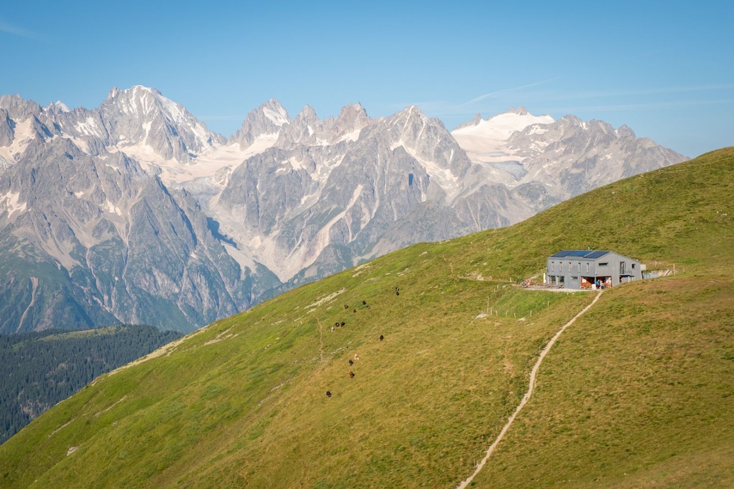 Panoramawanderung zum Mont Brûlé