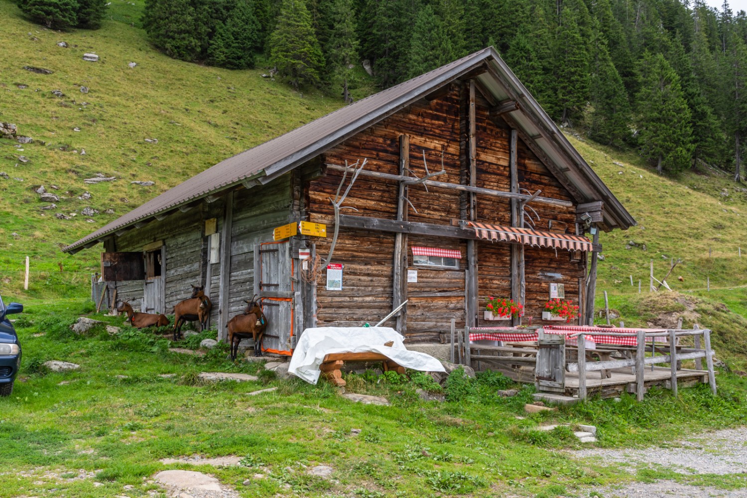 Hütte bei der Alp Sattel. Bild: Franz Ulrich