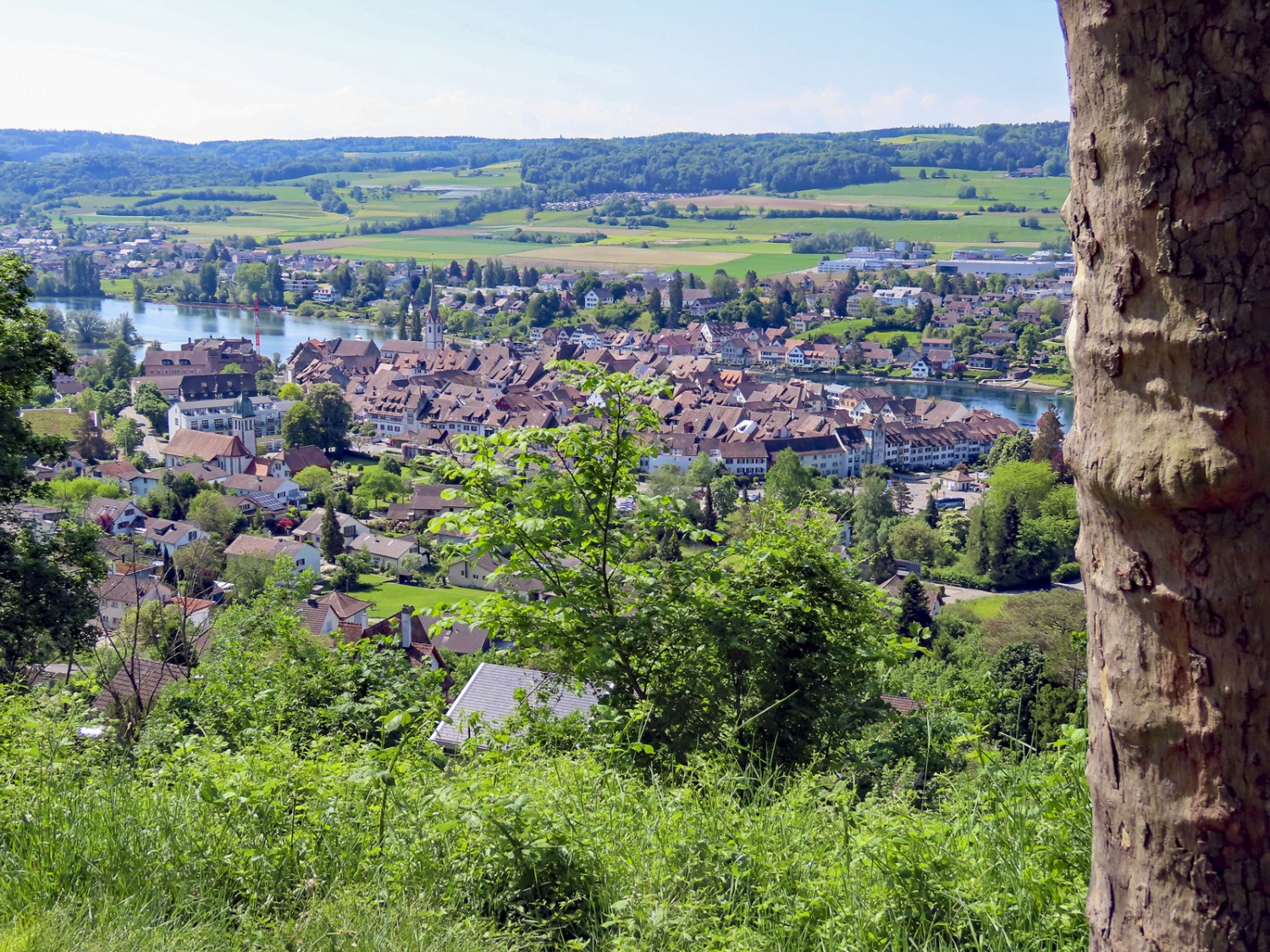 Von der Burg Hohenklingen aus bietet sich ein schöner Blick auf Stein am Rhein. Bild: Heinz Trachsel