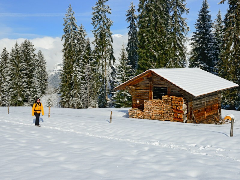 Wege durch einen Wintertraum: Von der Sonne gebrannte Alphütten scheinen im Winterschlaf versunken. Bild: natur-welten.ch