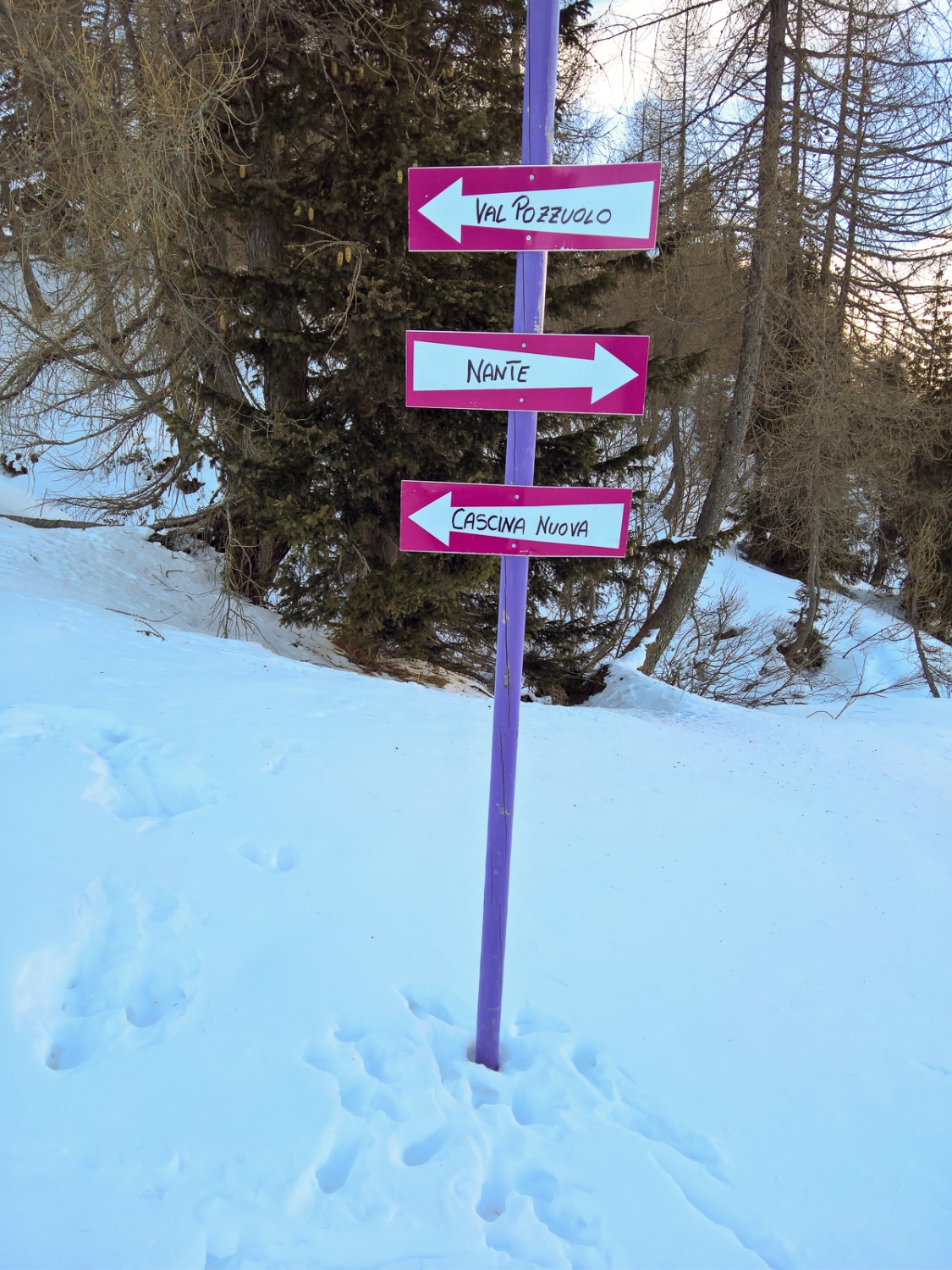Der Verlauf der Route wird mit violetten Stangen und pinkfarbigen Tafeln angezeigt. Bild: Andreas Staeger