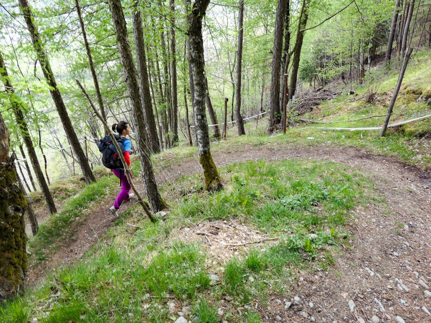 Steil, aber einfach begehbar schlängelt sich der Wanderweg durch den Wald Richtung Unterems. Bild: Ulrike Marx