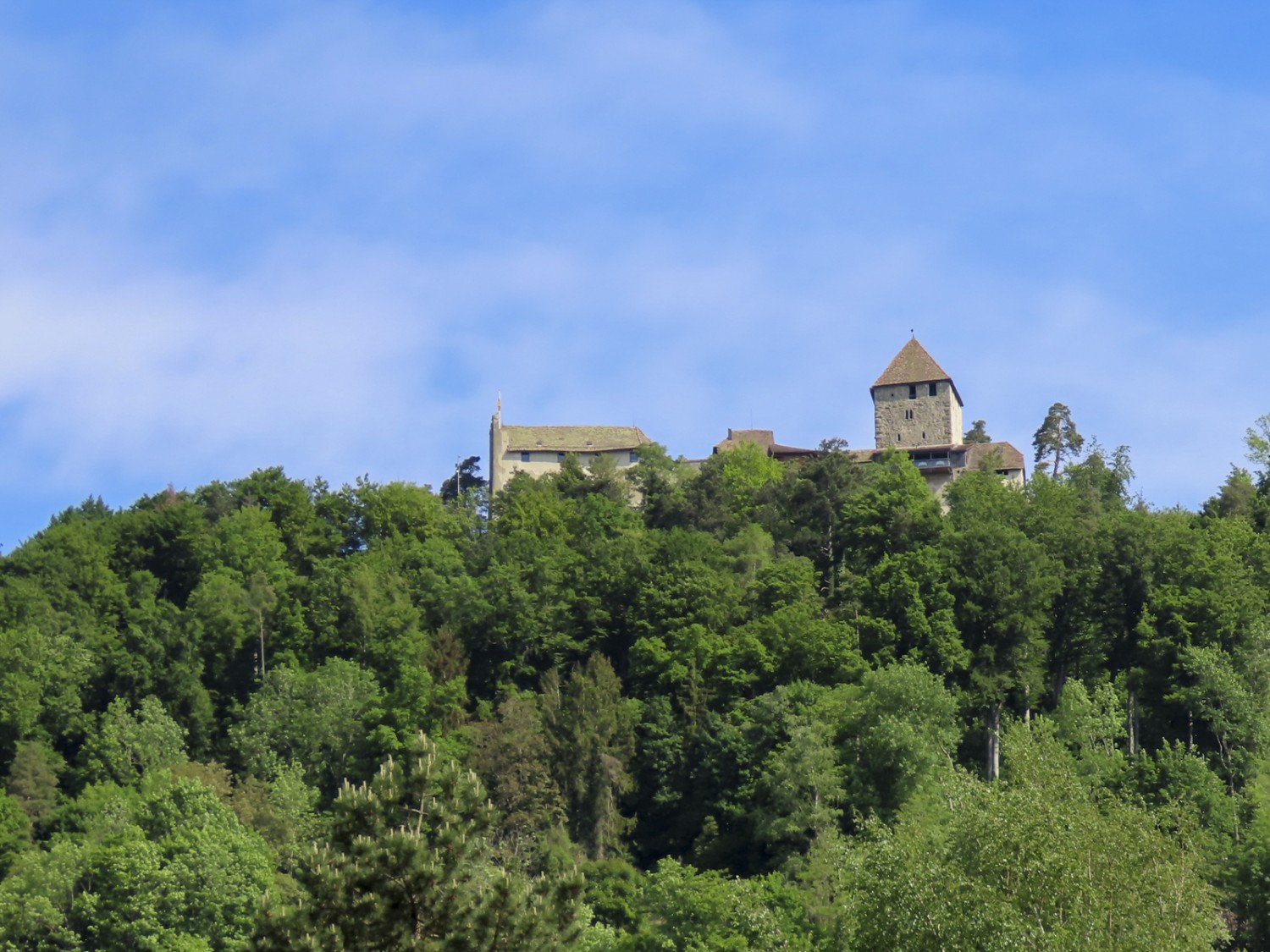 Hoch über dem Rhein thront die Burg Hohenklingen. Bild: Heinz Trachsel