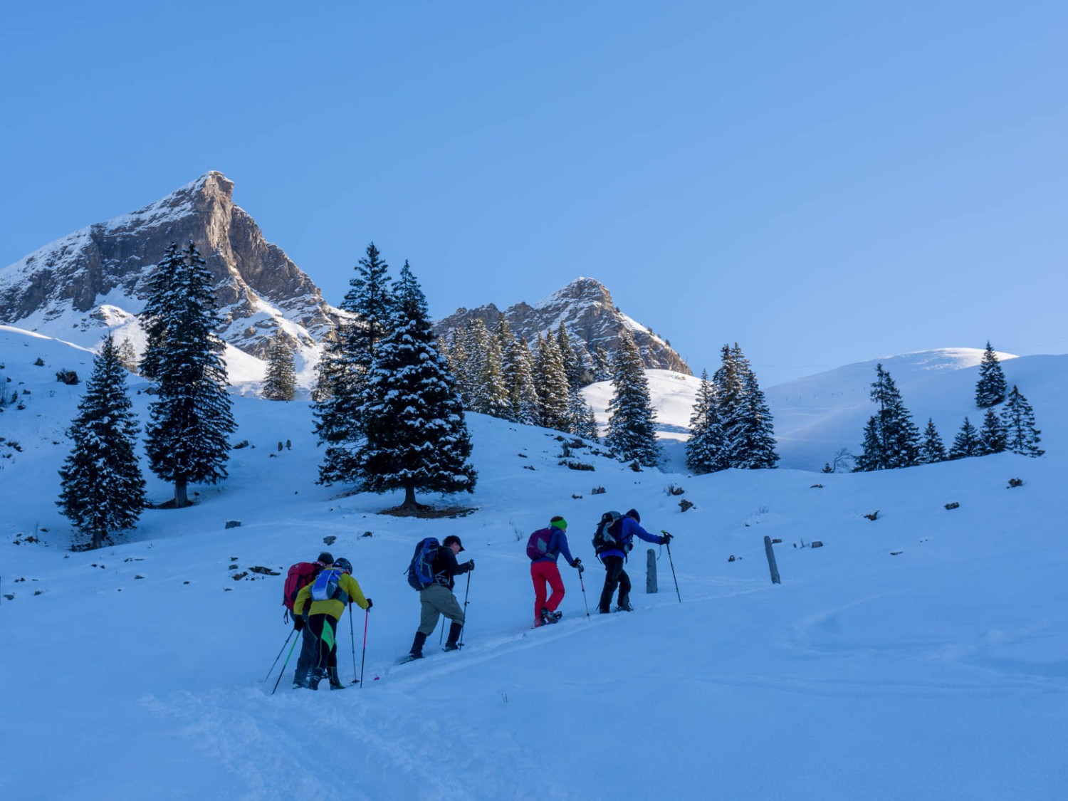 Querfeldein geht es über tief verschneite Alpweiden hoch zur Druesberghütte. Bild: Franz Ulrich