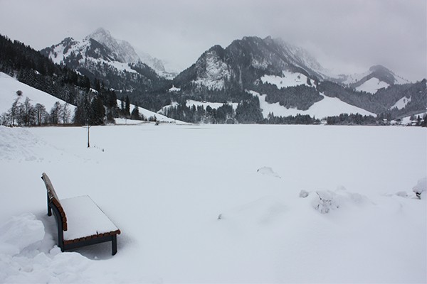 Blick von Gypsera über den See.
Bild: Anne-Sophie Scholl