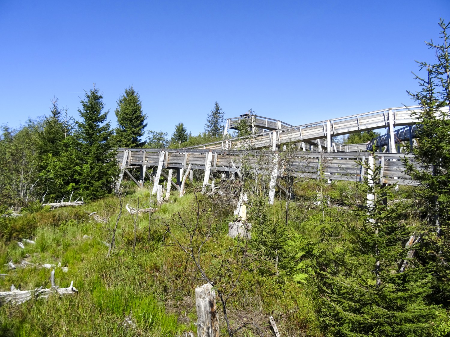 Abwechslungsreicher Höhenweg im Gantrischgebiet