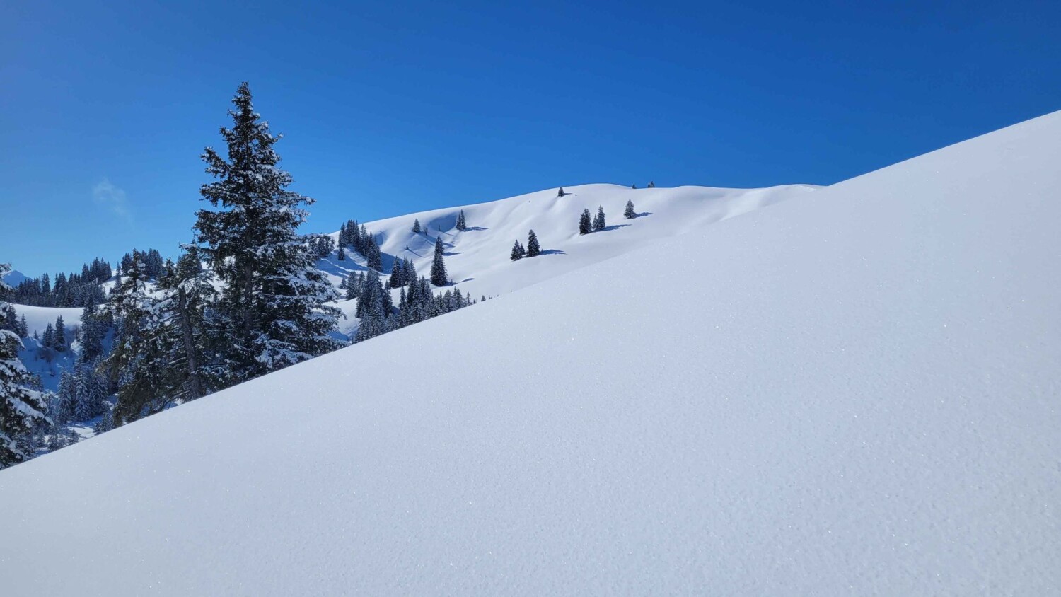Winterwunderland im Saanenland