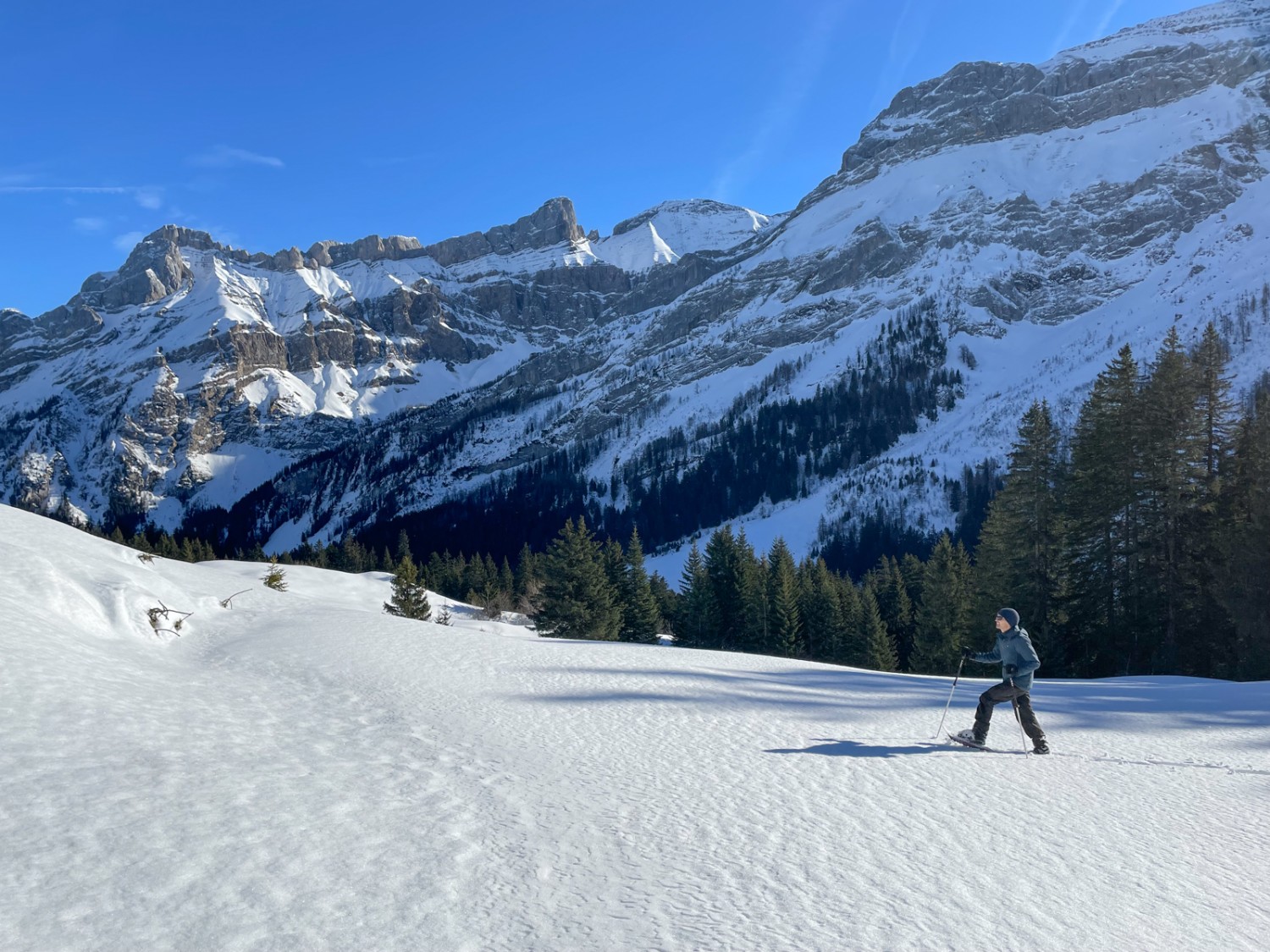 Bei Le Rard: Pulverschnee, Sonne und Aussicht auf die steilen Felswände des Gstellihore. Bild: Rémy Kappeler