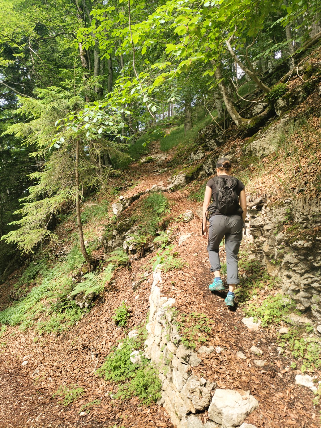 Im Aufstieg zum Mont Raimeux: Der schmale Pfad ist aufwendig mit Trockensteinmauern befestigt. Bild: Michael Dubach