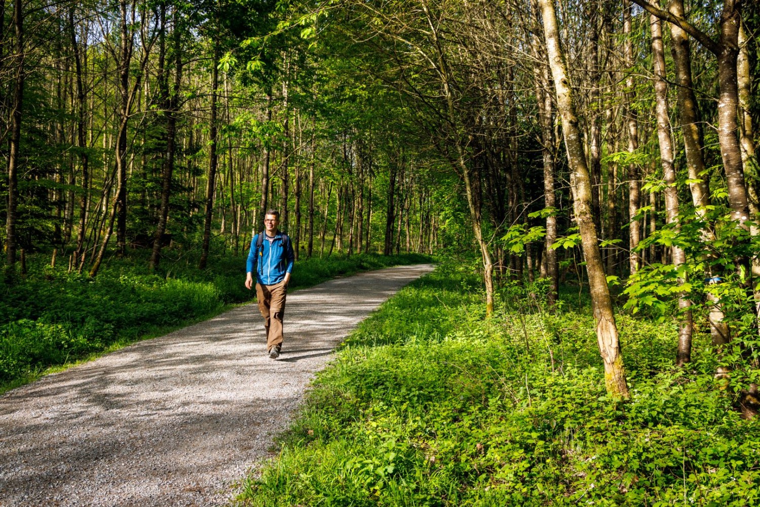 Ein Spaziergang durch den Wald führt zum Ostermundiger Steinbruch.