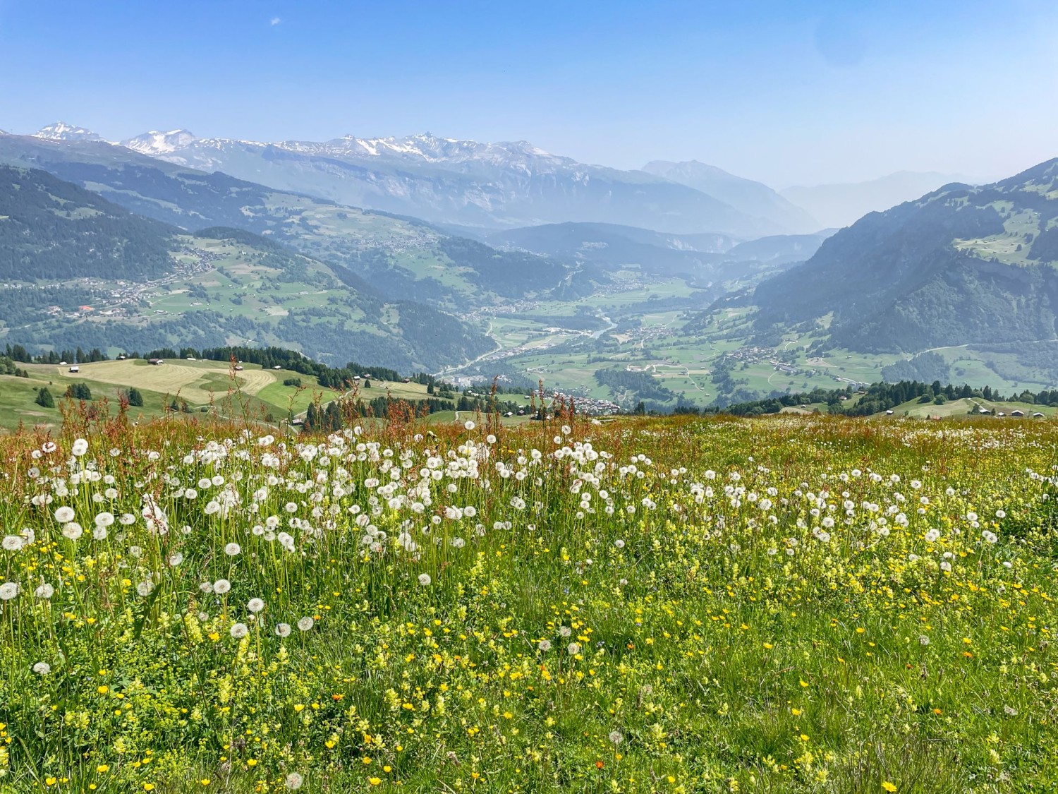 Sur le flanc du «Rigi des Grisons»