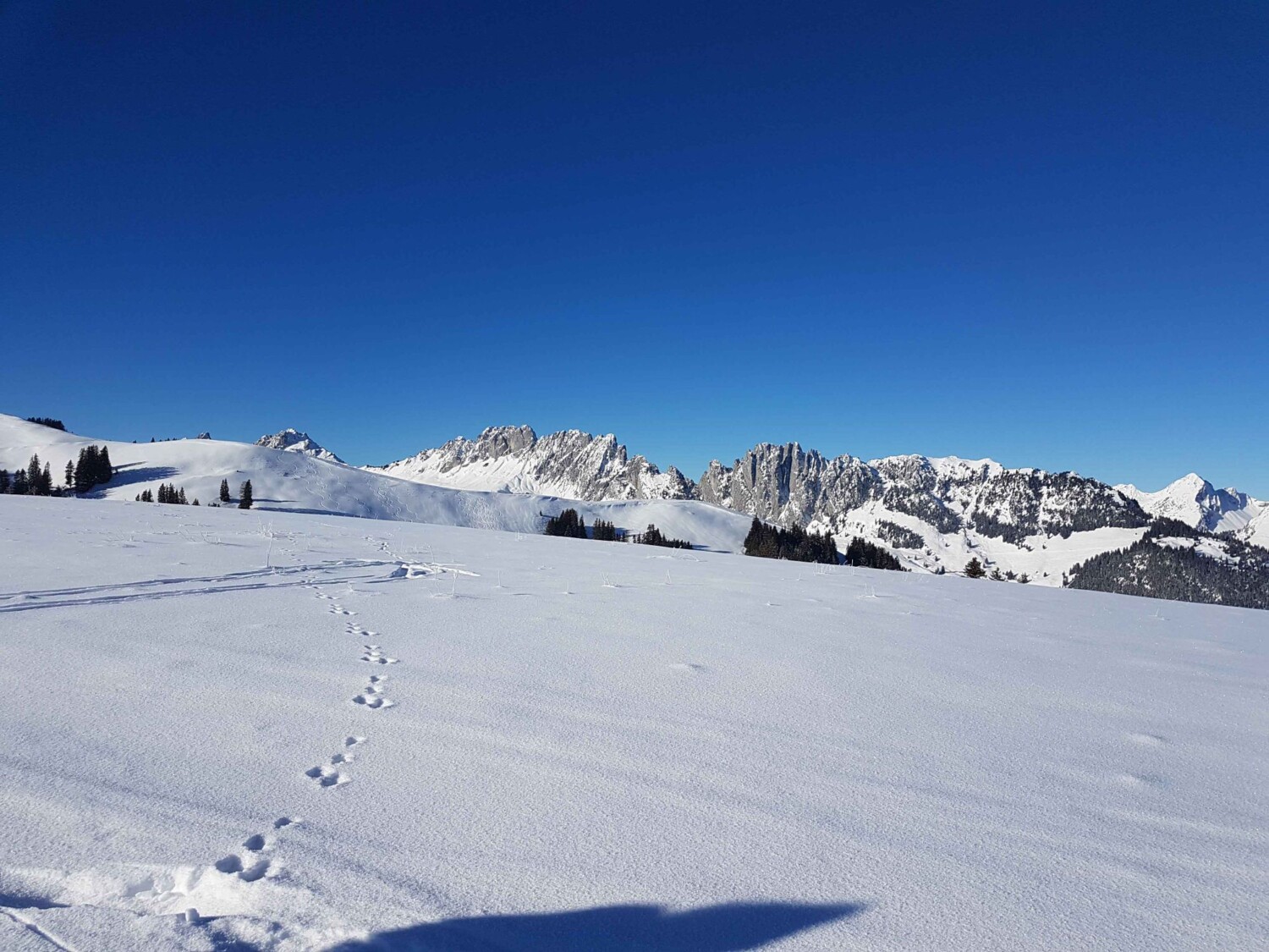 Winterwunderland