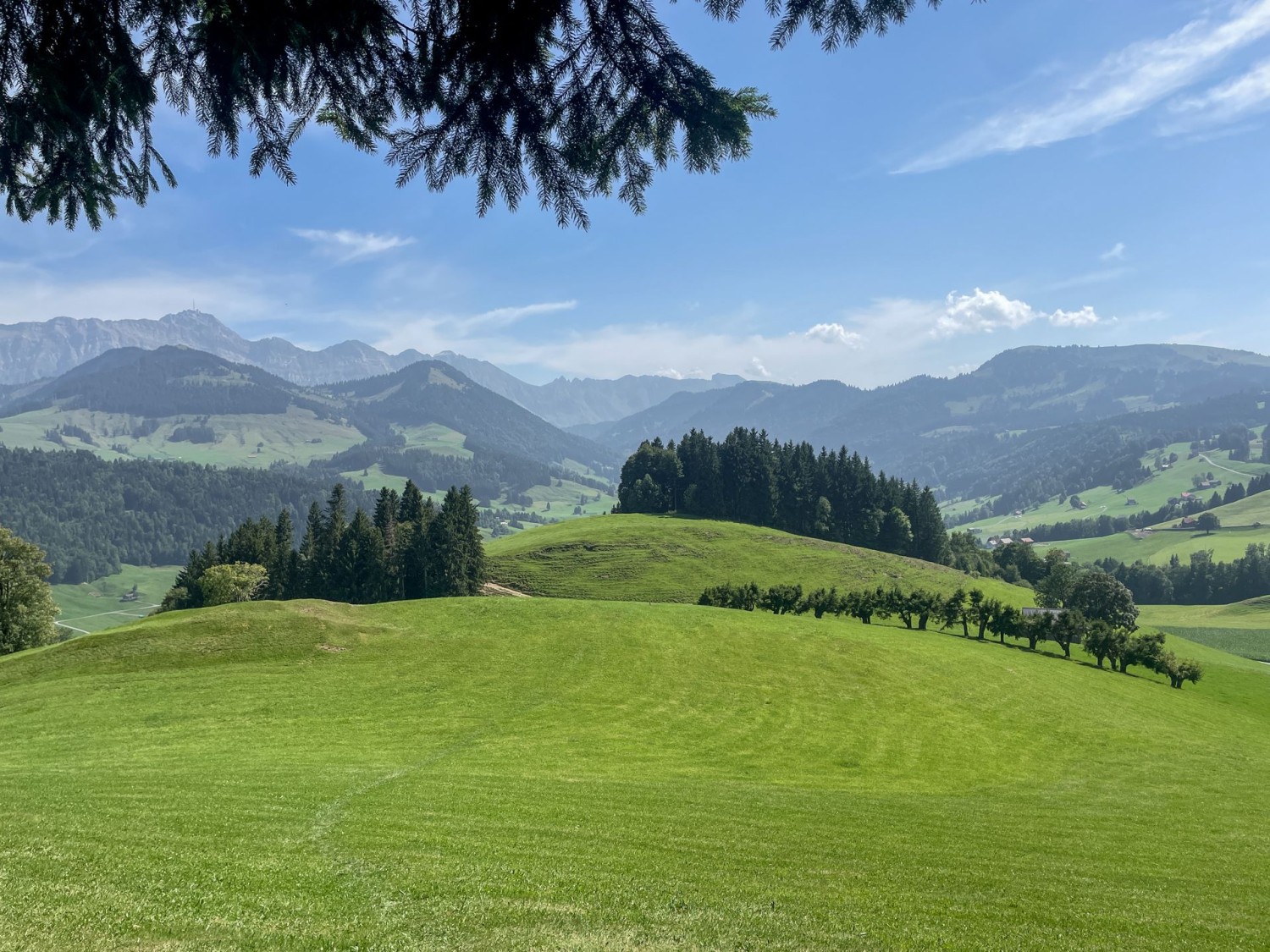 In salita poco dopo Urnäsch: sguardo indietro sul Säntis e sulle montagne del Toggenburgo.