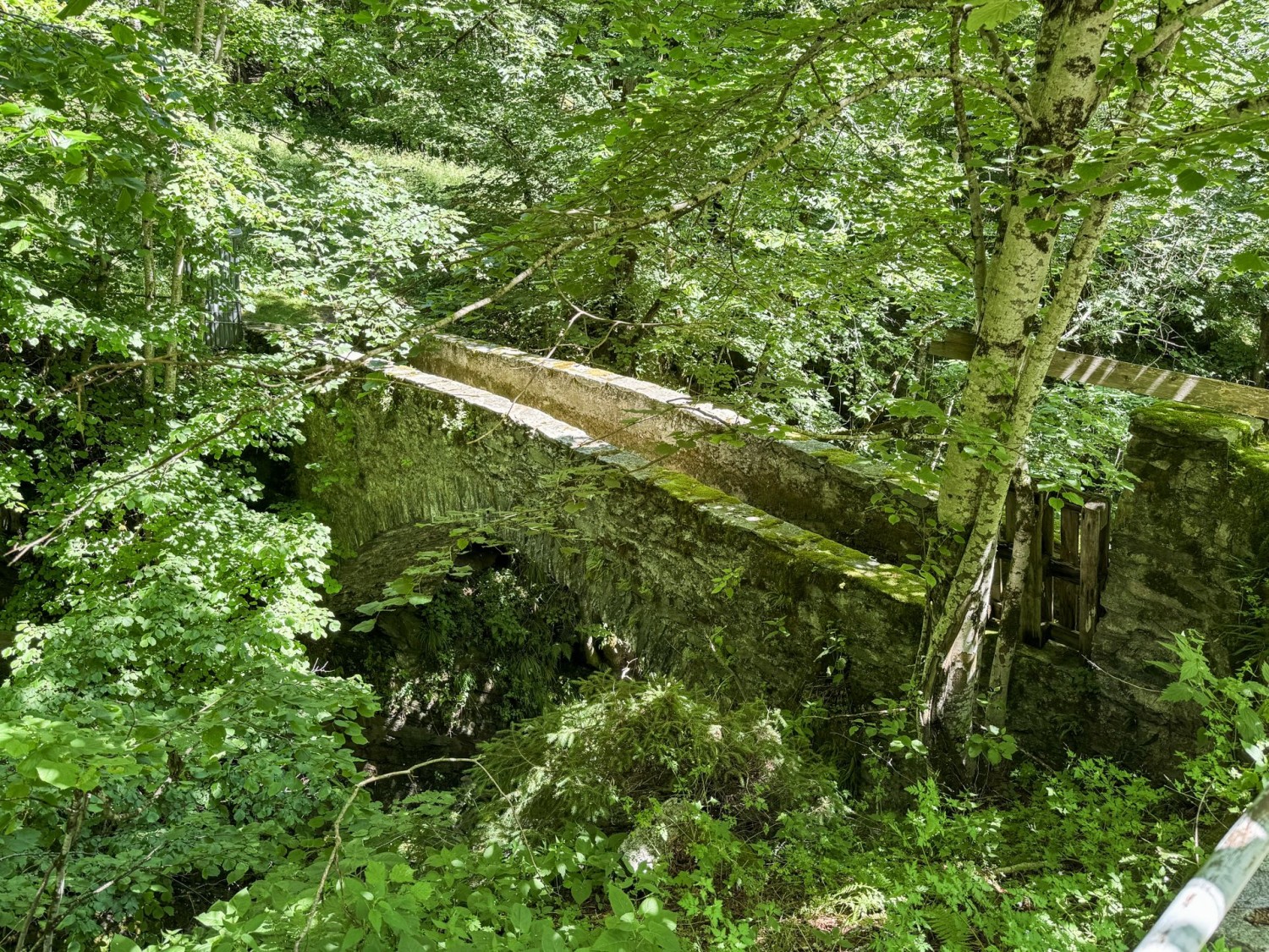 L’antico ponte in pietra che attraversa la Rovana di Campo.