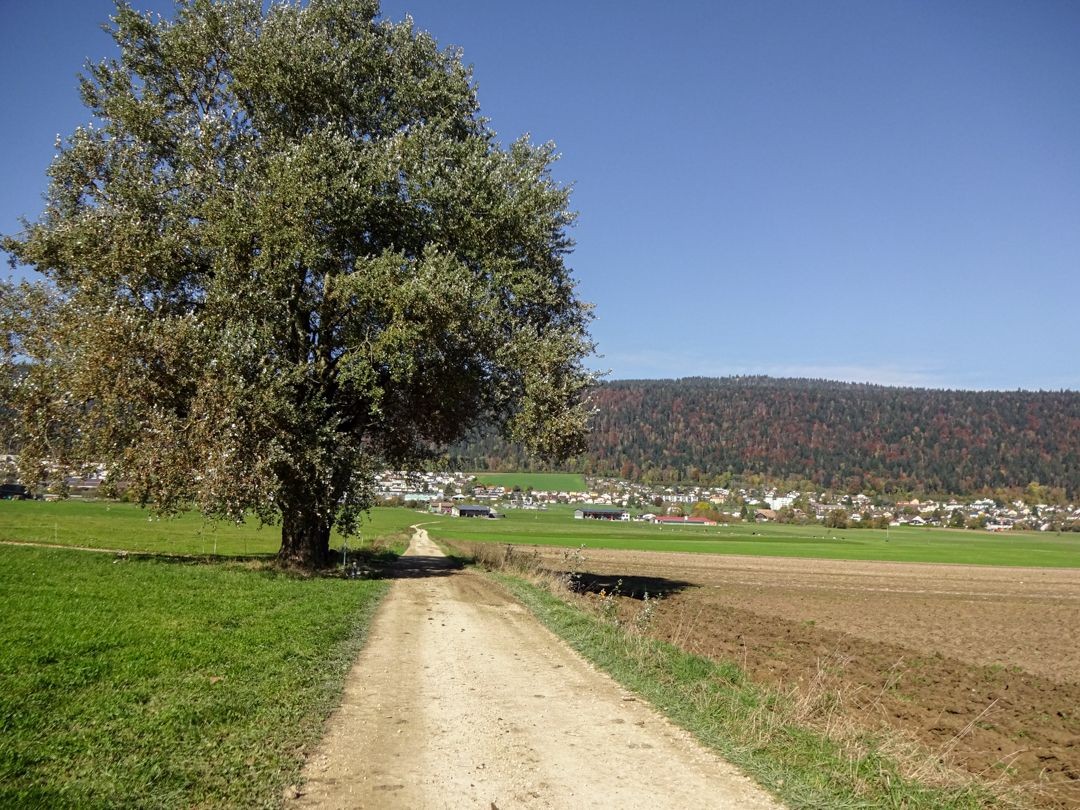 On s’éloigne peu à peu de la pente nord du val de Ruz.