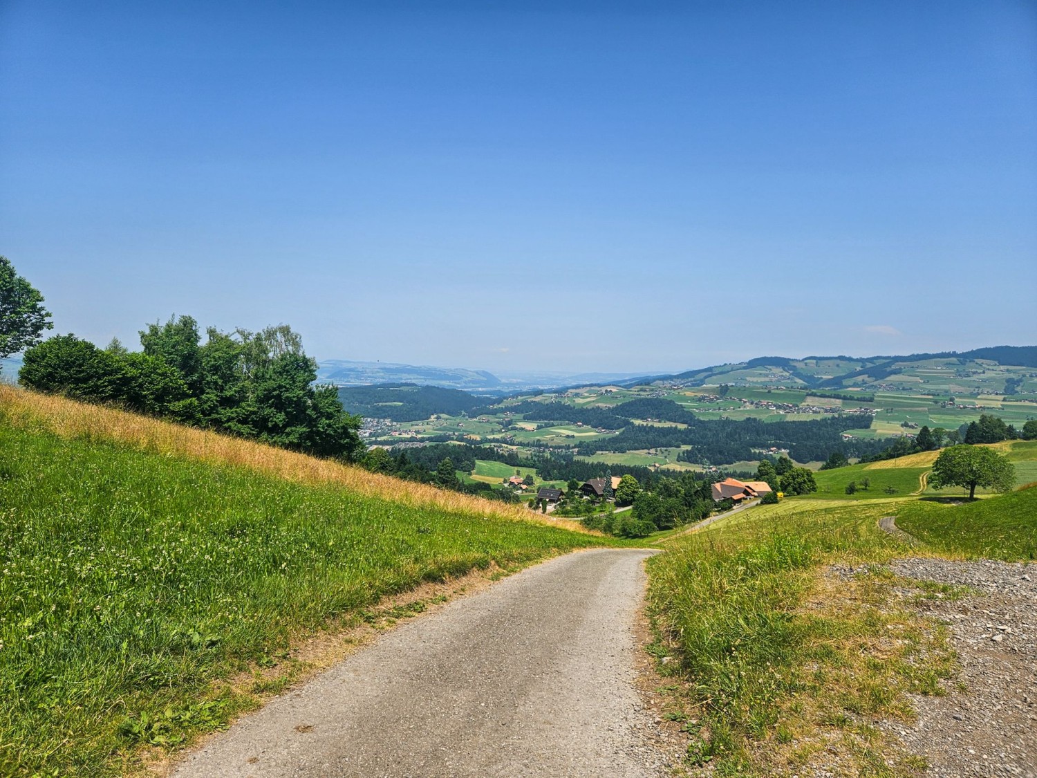 Durante la discesa da Goldiwil verso Steffisburg si gode di una vista che arriva quasi fino a Berna.