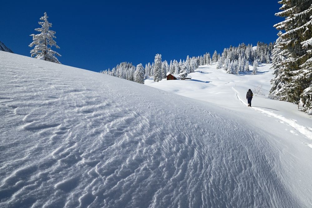 De l’Alp Bloossen, il faut encore un bon moment pour rejoindre le sommet.