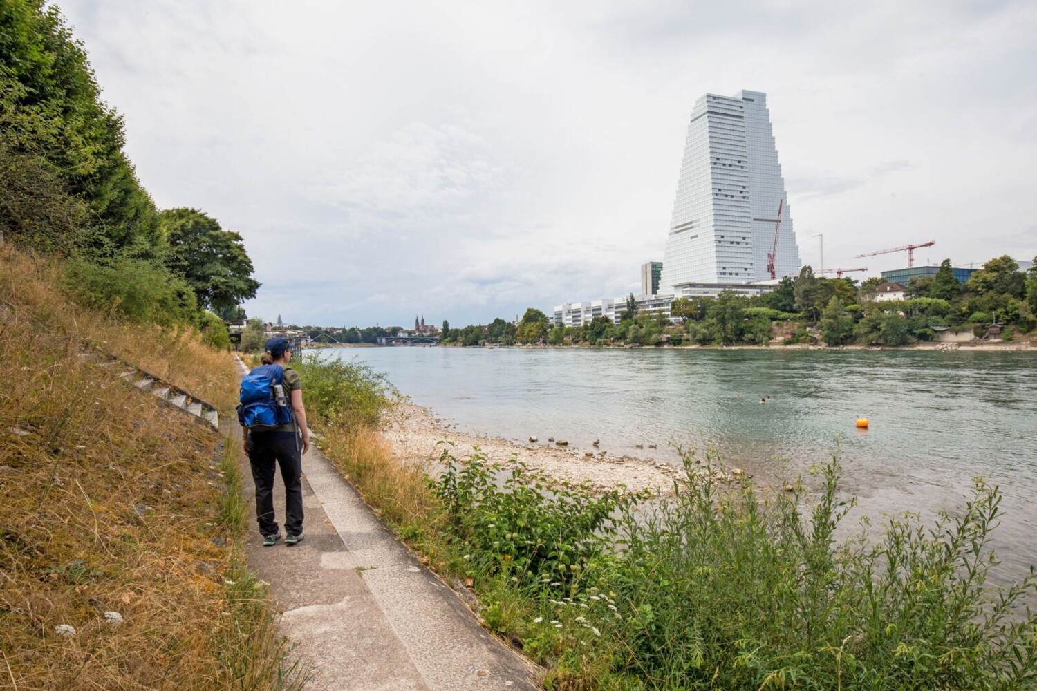Am Rhein, mit Blick auf das urbane Basel mit Roche-Turm.