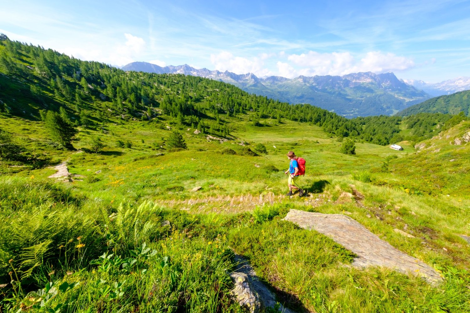 Bei Pinett verzweigt sich der Wanderweg südlich zum Passo Forca und westlich hinunter nach Piora, am Horizont die Berge der Leventina.