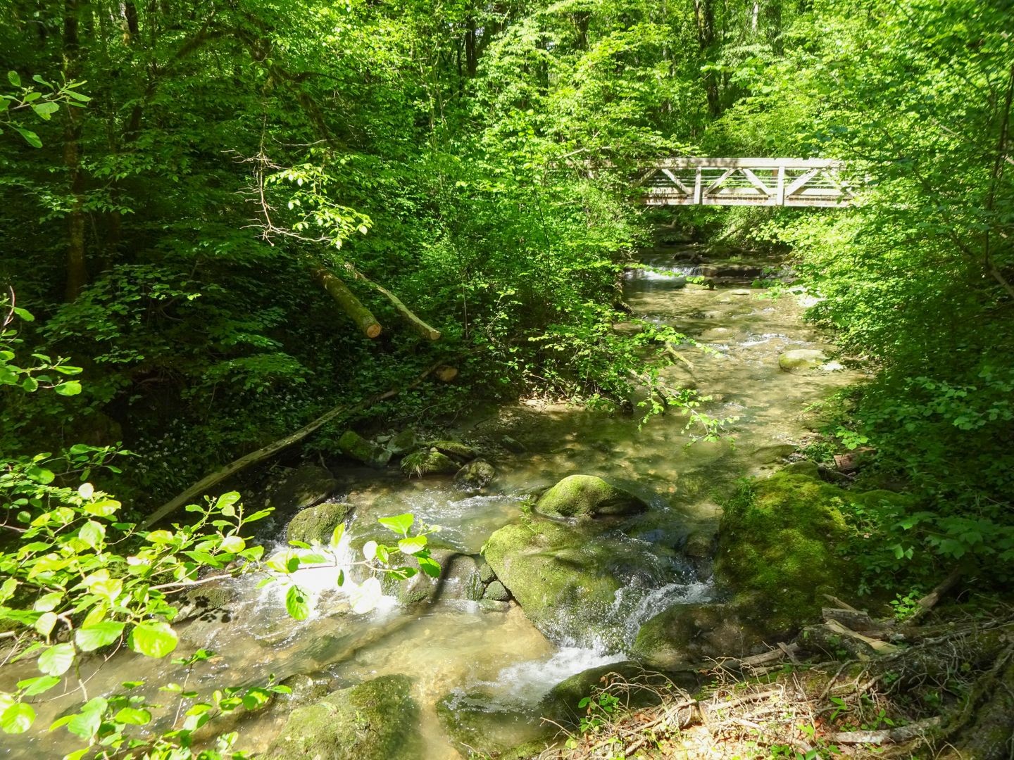 Der Roulave plätschert durch üppige Vegetation.