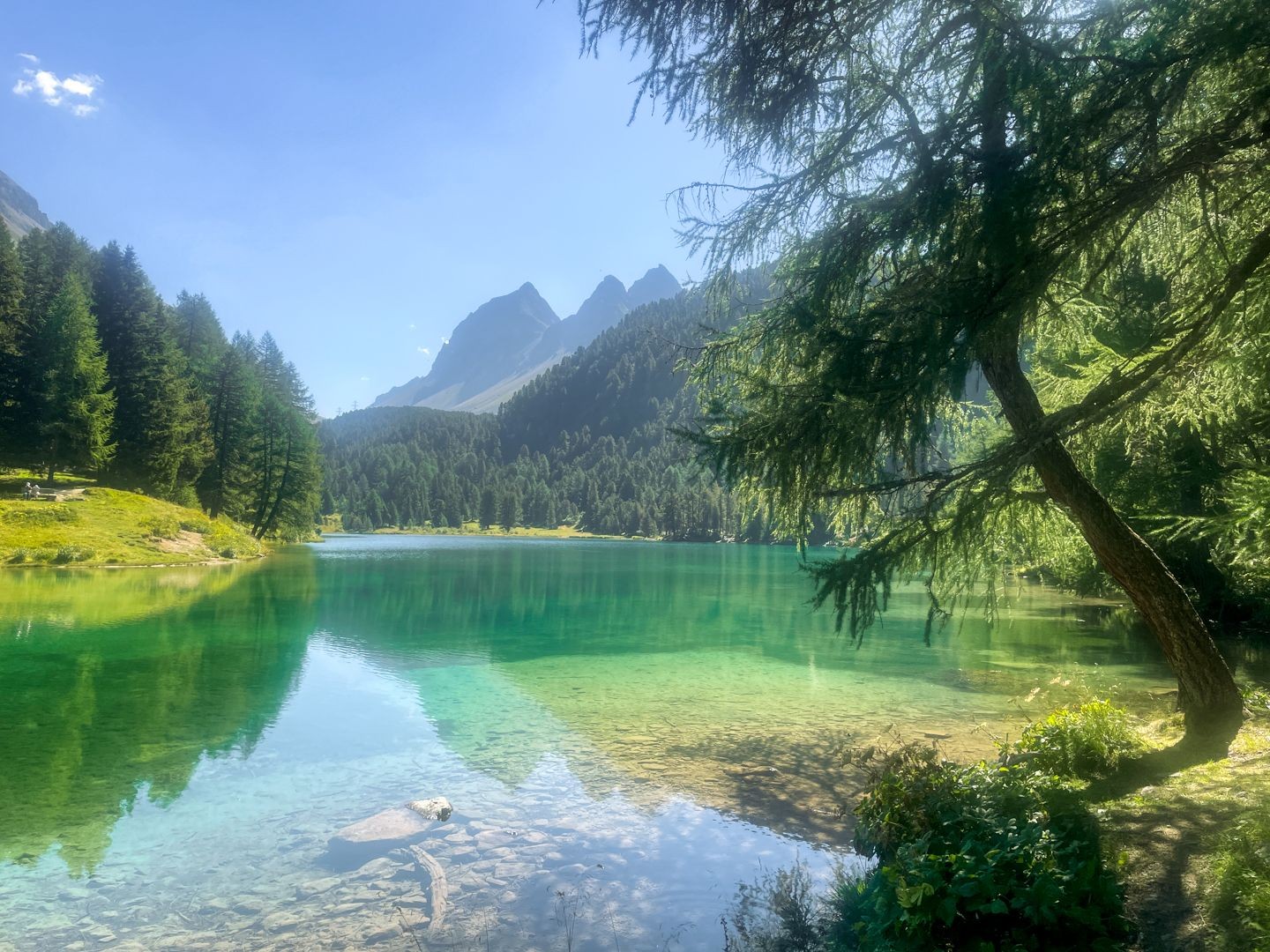 Wilde Wasser auf der Via Albula